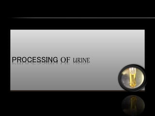 PROCESSING OF URINE
 