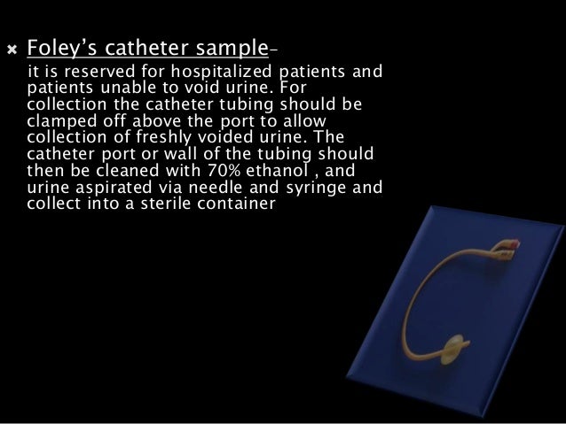 microbiology foley catheter rahul