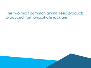 The two most common animal feed products
produced from phosphate rock are:
 