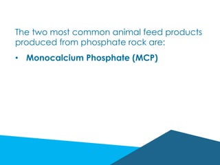 The two most common animal feed products
produced from phosphate rock are:
•  Monocalcium Phosphate (MCP)
 