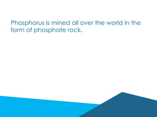 Phosphorus is mined all over the world in the
form of phosphate rock.
 