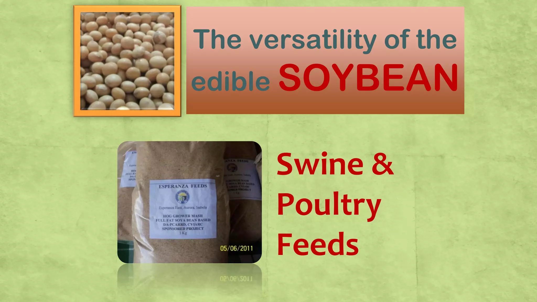The versatility of the
edible SOYBEAN
Swine &
Poultry
Feeds
 