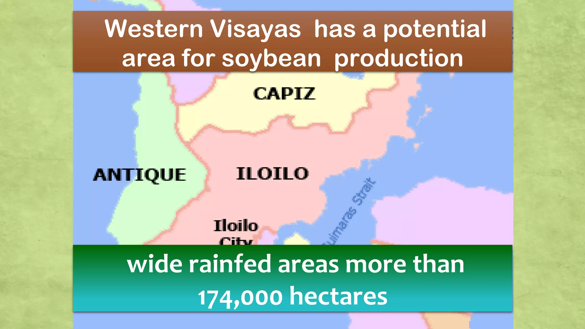 Western Visayas has a potential
area for soybean production
wide rainfed areas more than
174,000 hectares
 