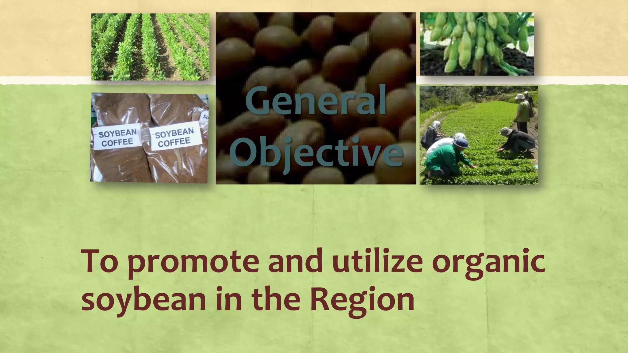 General
Objective
To promote and utilize organic
soybean in the Region
 