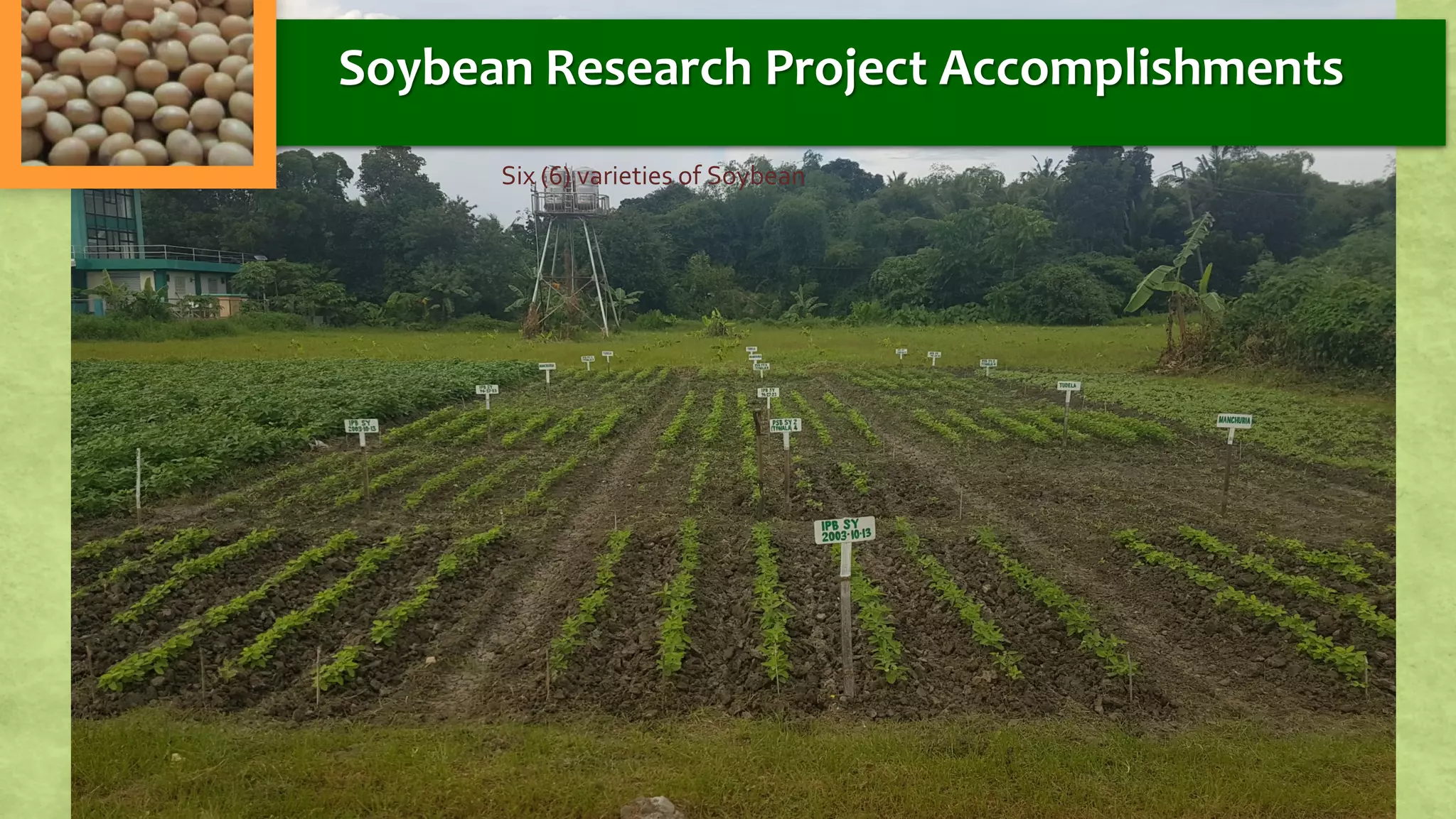 Six (6) varieties of Soybean
Soybean Research Project Accomplishments
 