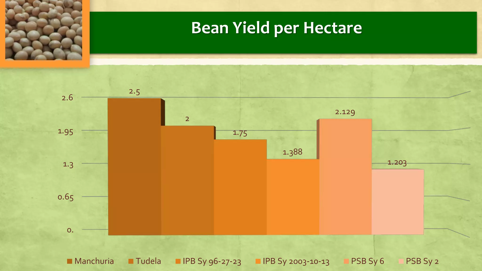 0.
0.65
1.3
1.95
2.6
2.5
2
1.75
1.388
2.129
1.203
Manchuria Tudela IPB Sy 96-27-23 IPB Sy 2003-10-13 PSB Sy 6 PSB Sy 2
Bean Yield per Hectare
 