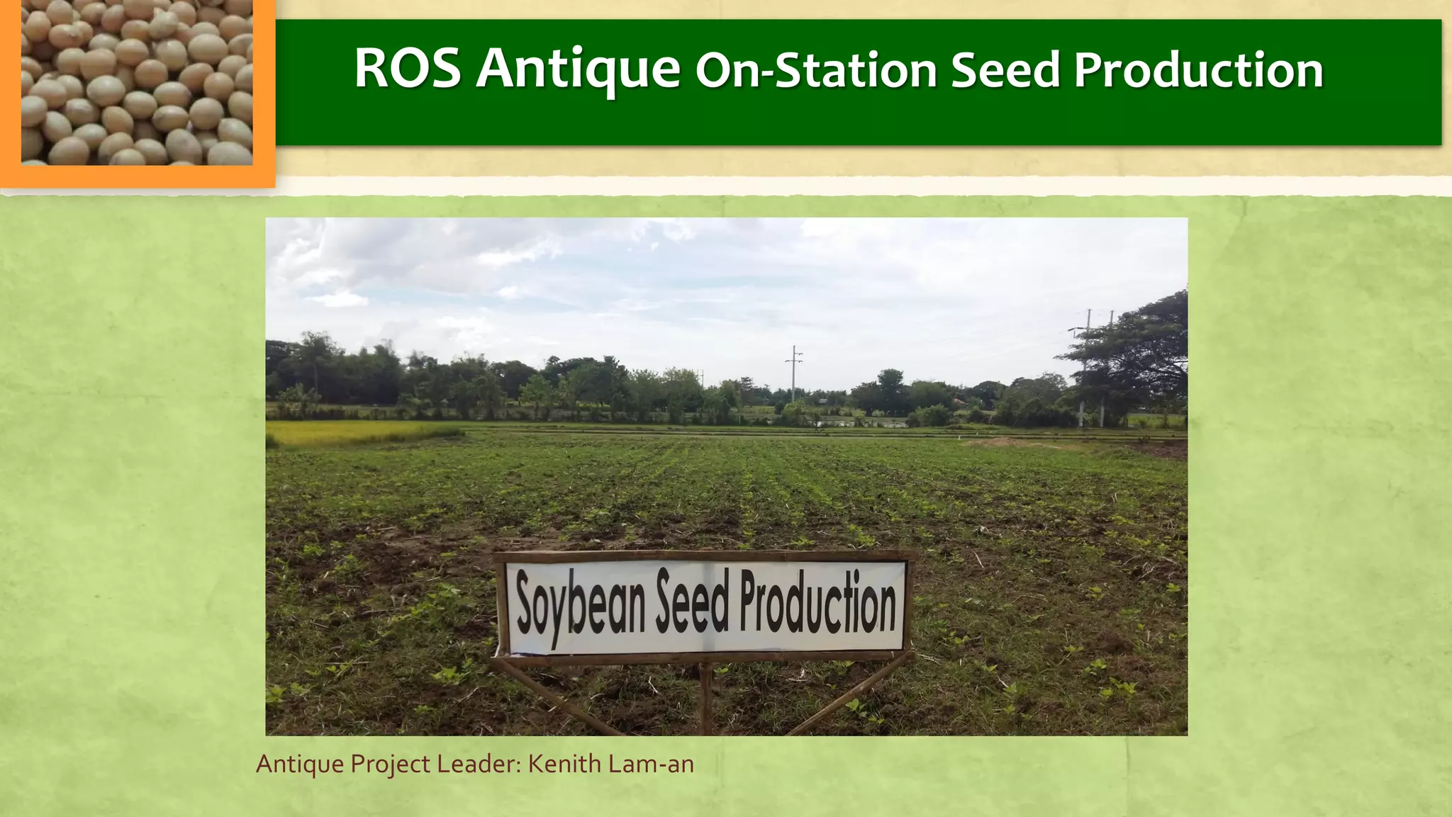Antique Project Leader: Kenith Lam-an
ROS Antique On-Station Seed Production
 