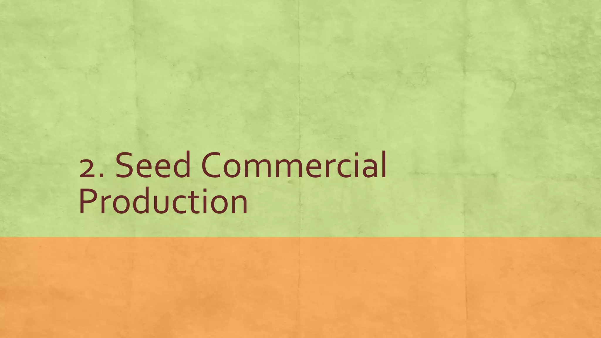 2. Seed Commercial
Production
 