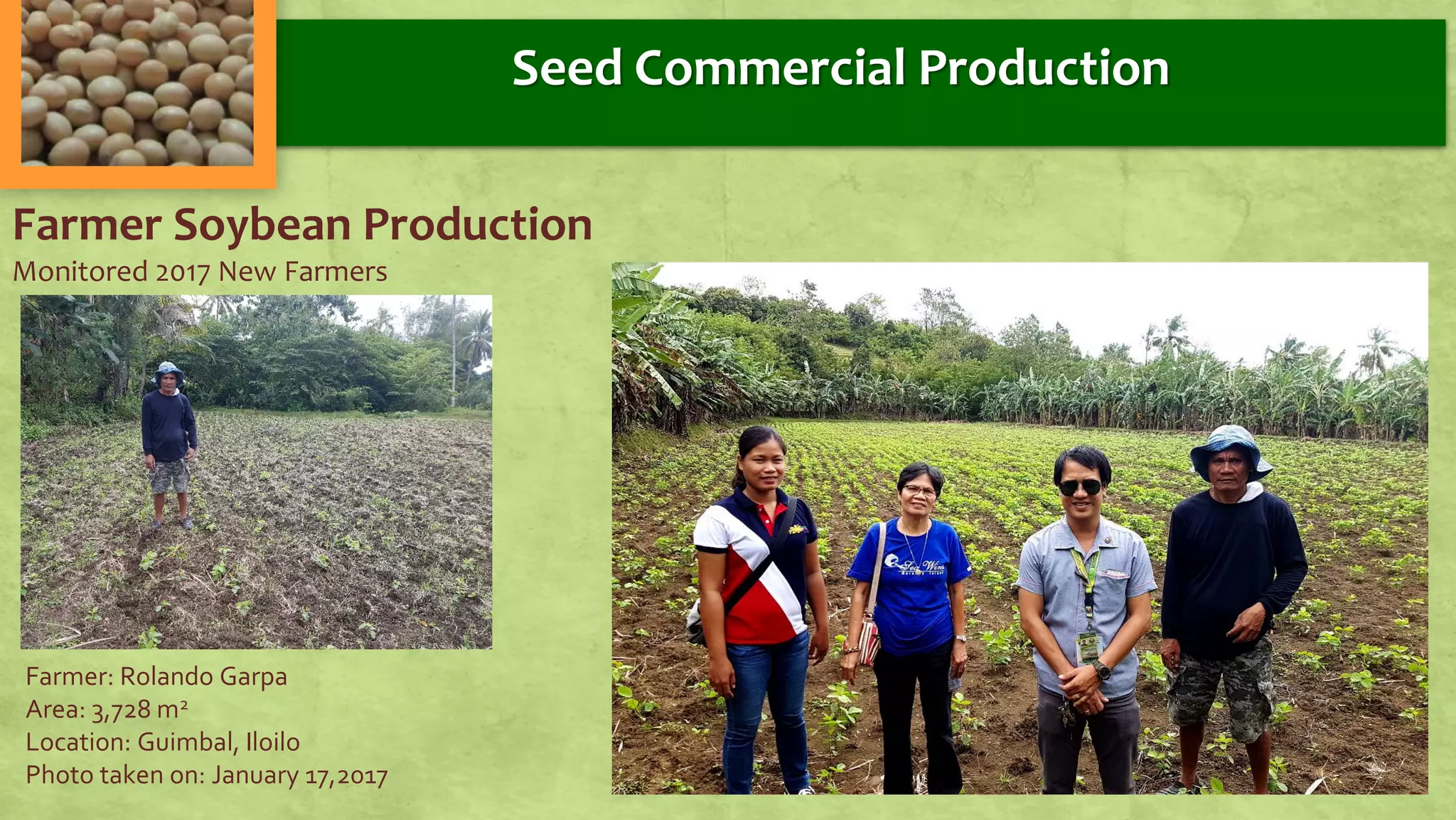Farmer Soybean Production
Monitored 2017 New Farmers
Farmer: Rolando Garpa
Area: 3,728 m2
Location: Guimbal, Iloilo
Photo taken on: January 17,2017
Seed Commercial Production
 