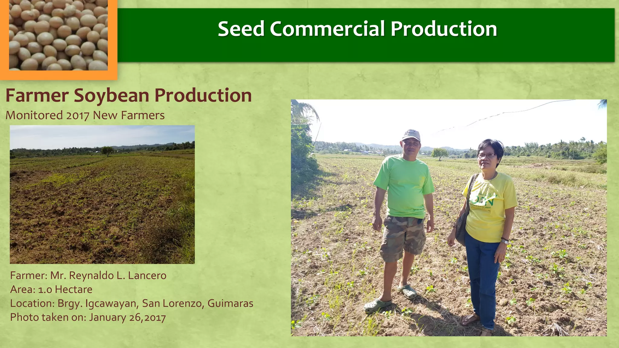 Farmer Soybean Production
Monitored 2017 New Farmers
Farmer: Mr. Reynaldo L. Lancero
Area: 1.0 Hectare
Location: Brgy. Igcawayan, San Lorenzo, Guimaras
Photo taken on: January 26,2017
Seed Commercial Production
 