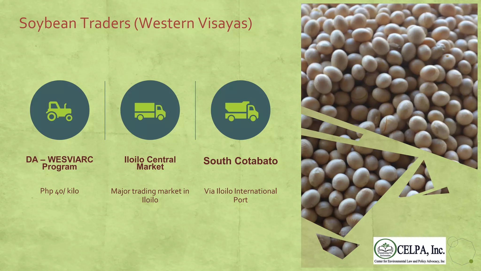 Soybean Traders (Western Visayas)
DA – WESVIARC
Program
Php 40/ kilo
Iloilo Central
Market
Major trading market in
Iloilo
South Cotabato
Via Iloilo International
Port
55
 
