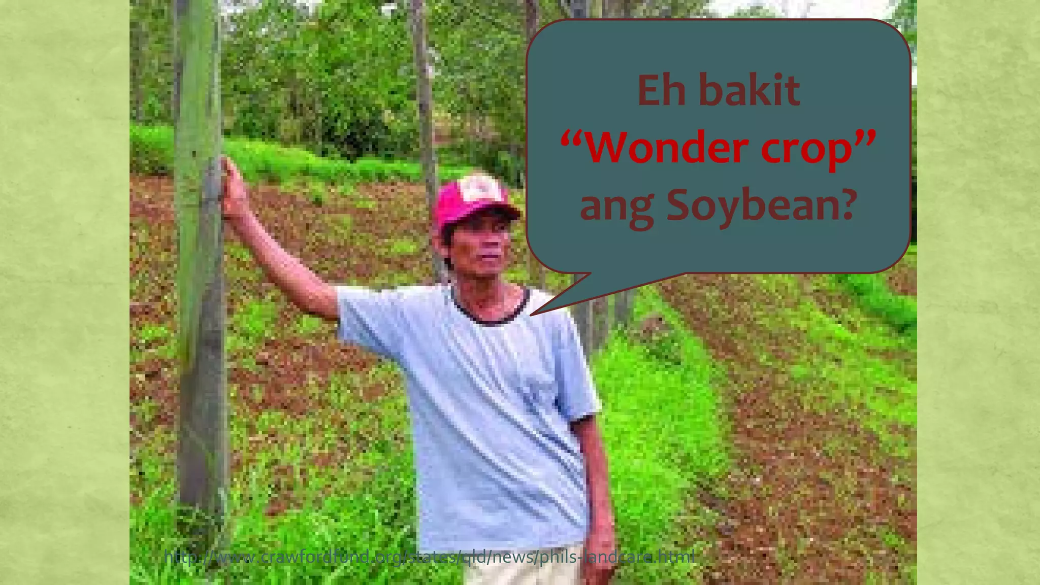 http://www.crawfordfund.org/states/qld/news/phils-landcare.html
Eh bakit
“Wonder crop”
ang Soybean?
 