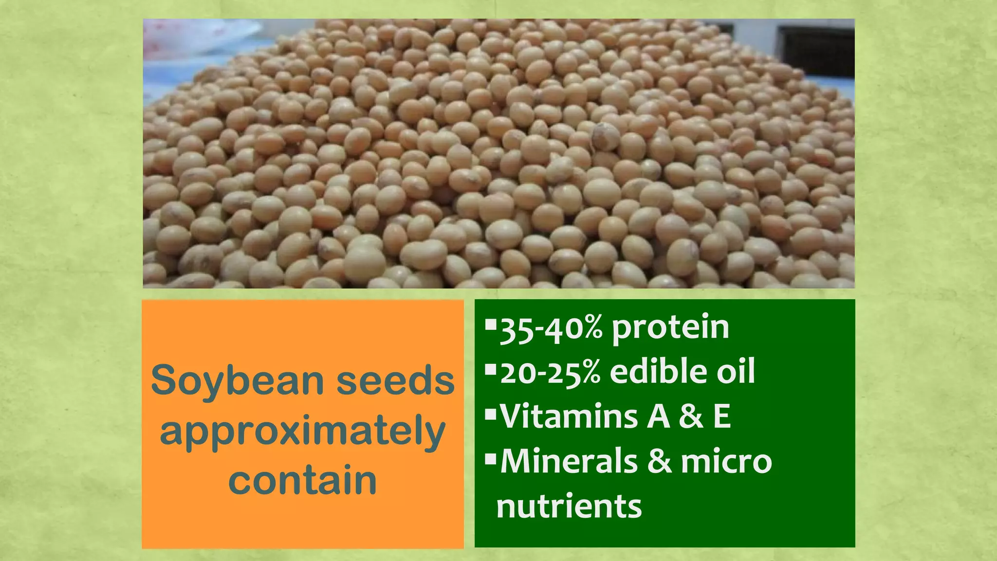 35-40% protein
20-25% edible oil
Vitamins A & E
Minerals & micro
nutrients
Soybean seeds
approximately
contain
 