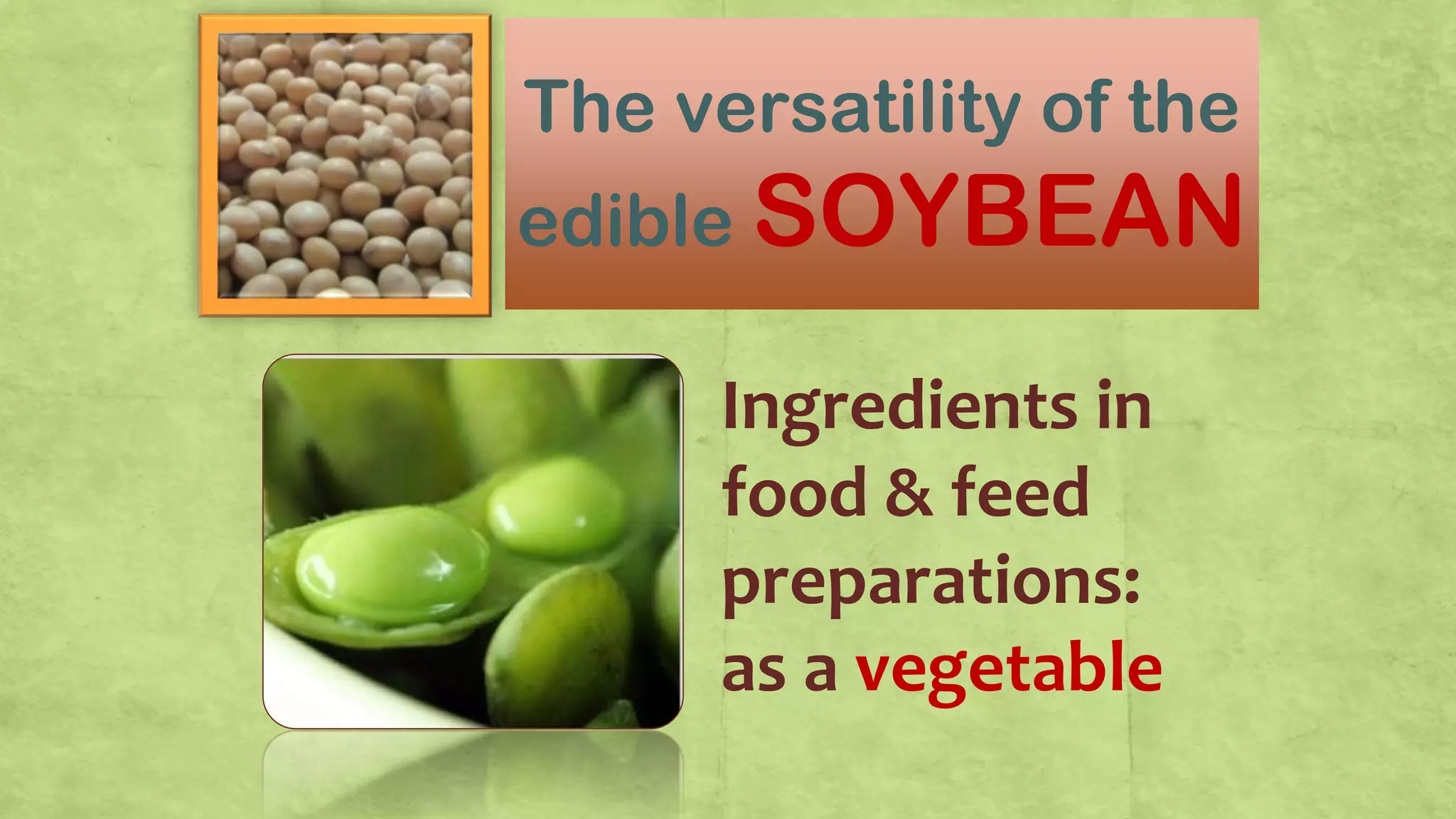 The versatility of the
edible SOYBEAN
Ingredients in
food & feed
preparations:
as a vegetable
 