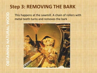 Step 3: REMOVING THE BARK
This happens at the sawmill. A chain of rollers with
metal teeth turns and removes the bark
OBTAININGNATURALWOOD
 