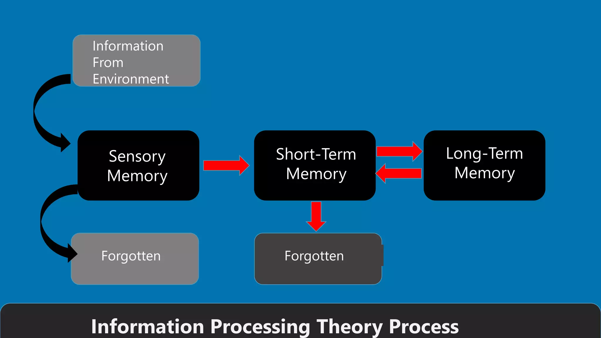 Sensory
Memory
Short-Term
Memory
Long-Term
Memory
Information
From
Environment
Forgotten Forgotten
Information Processing Theory Process
 