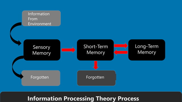 Information processing learning theory | PPT