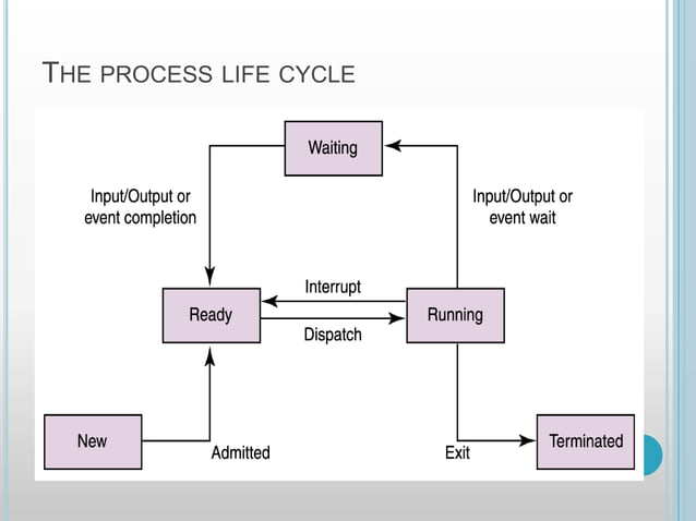 Process life cycle | PPT