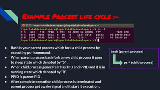 Process management | PDF
