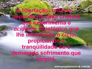 A libertação, todavia, depende de cada criatura que experimenta  o  acidente   fisiológico que lhe interrompe o ciclo, propiciando a tranqüilidade ou o demorado sofrimento que carpirá. 