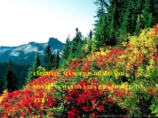 ESPÍRITO:  MANOEL P. DE MIRANDA FONTE: TEMAS DA VIDA E DA MORTE FEB 