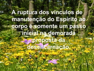 A ruptura dos vínculos de manutenção do Espírito ao corpo é somente um passo inicial na demorada proposta da desencarnação. 