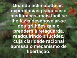 Quando aclimatado às experiências psíquicas e mediúnicas, mais fácil se lhe faz o desenovelar-se dos grilhões que o prendem à retaguarda, readquirindo a lucidez, cuja claridade racional apressa o mecanismo de libertação. 