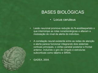 BASES BIOLÓGICAS
                   • Locus ceruleus

•   Lesão neuronal promove redução do N-acetilaspartato o
    que interrompe as rotas noradrenérgicas e alteram a
    modulação do nível de alerta do indivíduo.

•   A correlação neural existente entre as redes de atenção
    e alerta parece funcionar integrando dois sistemas
    corticais principais, o córtex parietal posterior e frontal
    anterior, incluindo o giro do cíngulo e estruturas
    subcorticais como tálamo e SRAA.

•   GADEA, 2004.
 