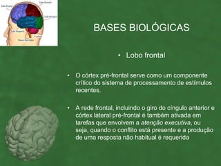 BASES BIOLÓGICAS

                   • Lobo frontal

• O córtex pré-frontal serve como um componente
  crítico do sistema de processamento de estímulos
  recentes.

• A rede frontal, incluindo o giro do cíngulo anterior e
  córtex lateral pré-frontal é também ativada em
  tarefas que envolvem a atenção executiva, ou
  seja, quando o conflito está presente e a produção
  de uma resposta não habitual é requerida
 
