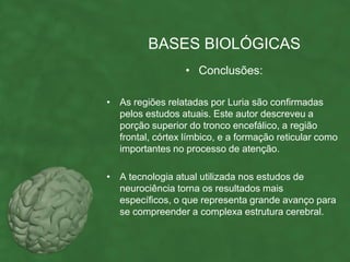 BASES BIOLÓGICAS
                  • Conclusões:

• As regiões relatadas por Luria são confirmadas
  pelos estudos atuais. Este autor descreveu a
  porção superior do tronco encefálico, a região
  frontal, córtex límbico, e a formação reticular como
  importantes no processo de atenção.

• A tecnologia atual utilizada nos estudos de
  neurociência torna os resultados mais
  específicos, o que representa grande avanço para
  se compreender a complexa estrutura cerebral.
 