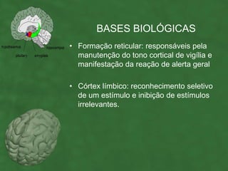 BASES BIOLÓGICAS
• Formação reticular: responsáveis pela
  manutenção do tono cortical de vigília e
  manifestação da reação de alerta geral

• Córtex límbico: reconhecimento seletivo
  de um estímulo e inibição de estímulos
  irrelevantes.
 