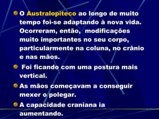 O  Australopiteco  ao longo de muito tempo foi-se adaptando à nova vida. Ocorreram, então,  modificações muito importantes no seu corpo, particularmente na coluna, no crânio e nas mãos. Foi ficando com uma postura mais vertical.  As mãos começavam a conseguir mexer o polegar. A capacidade craniana ia aumentando. 