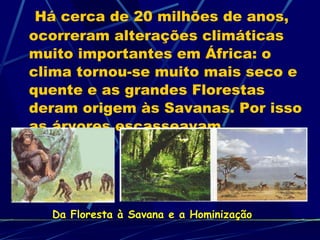 Há cerca de 20 milhões de anos, ocorreram alterações climáticas muito importantes em África: o clima tornou-se muito mais seco e quente e as grandes Florestas deram origem às Savanas. Por isso as árvores escasseavam. Da Floresta à Savana e a Hominização 