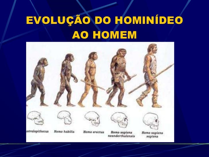 Processo Hominização
