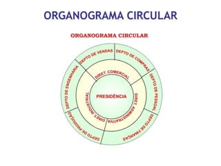 Organograma
 