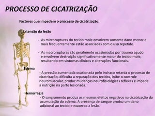 Processo de cicatrizacao