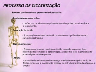 Processo de cicatrizacao