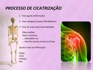 Processo de cicatrizacao
