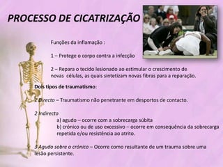 Processo de cicatrizacao