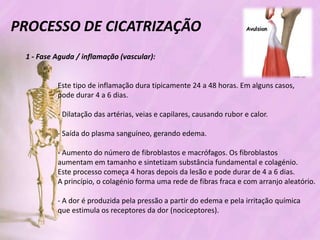 Processo de cicatrizacao