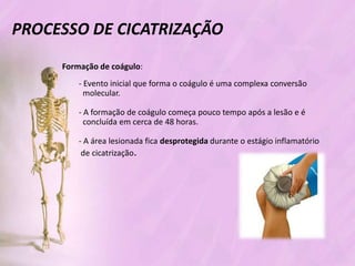 Processo de cicatrizacao
