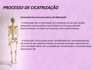 Processo de cicatrizacao