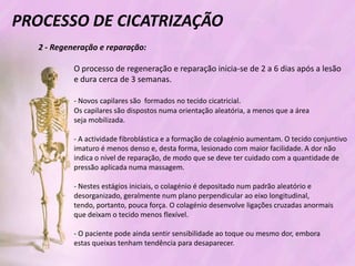 Processo de cicatrizacao
