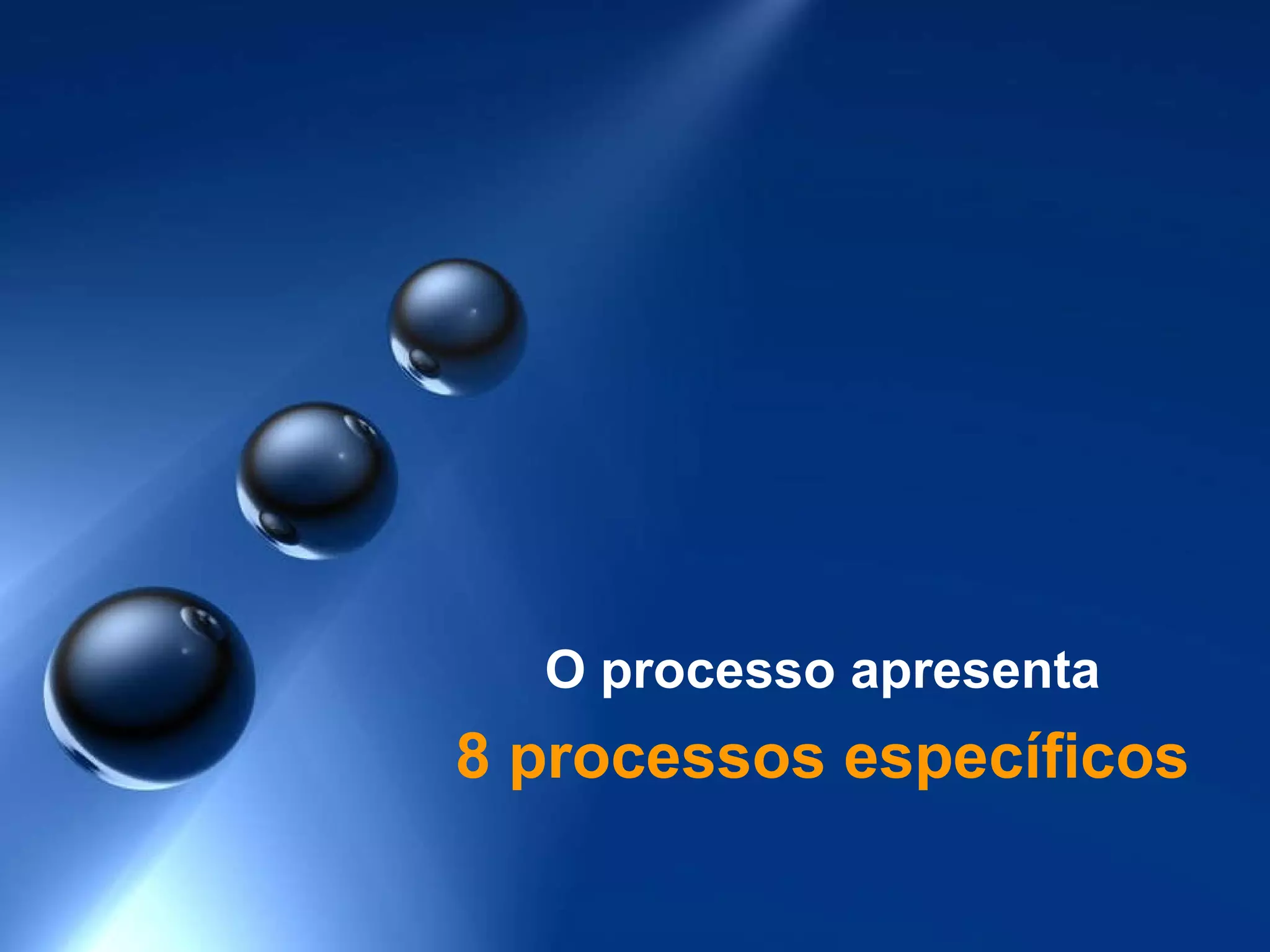 O processo apresenta 8 processos específicos 