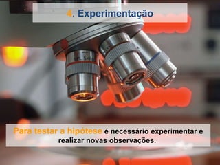 4 .  Experimentação Para testar a hipótese  é necessário experimentar e realizar novas observações.  