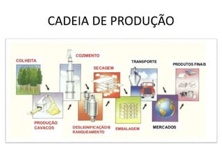 CADEIA DE PRODUÇÃO
 