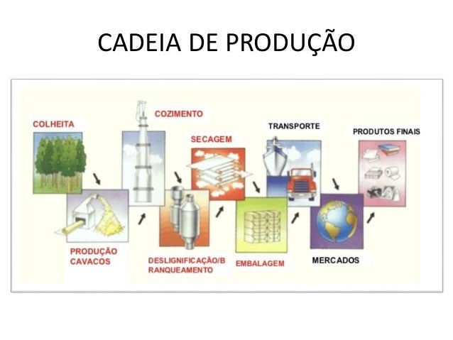 Cadeia Produtiva De Papel E Celulose - dinero electronico de liverpool