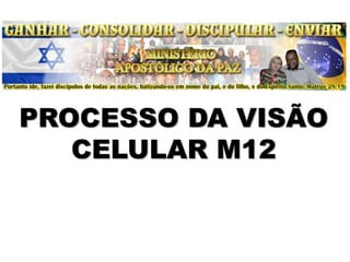 PROCESSO DA VISÃO
CELULAR M12
 