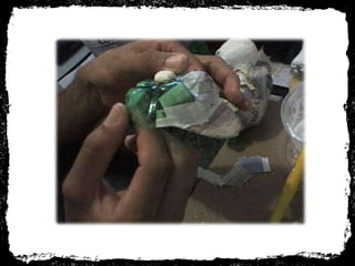 Processo de criação