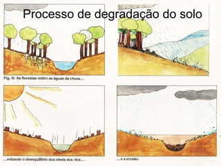 Processo de degradação do solo 